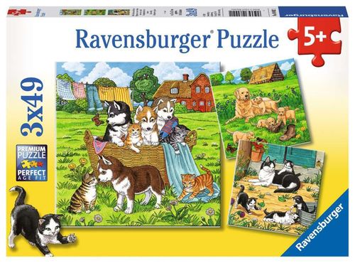 Ravensburger Puzzle 080021 Süße Katzen und Hunde 5+ Jahre 3x49 Teile